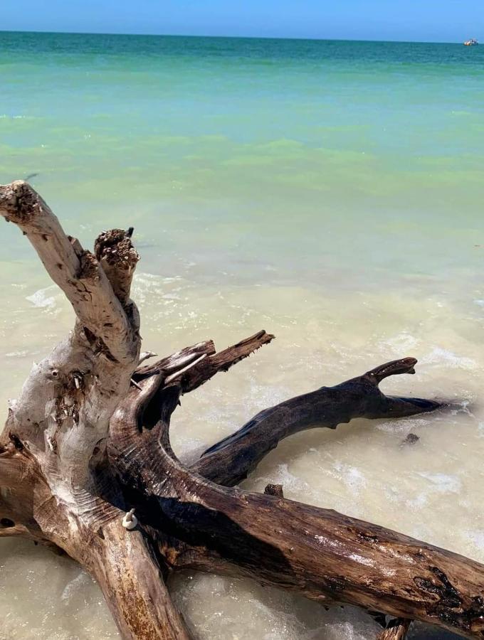 La Villa Resort Fort Myers Beach Kültér fotó